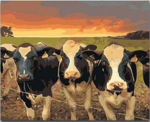 Cows Herd In Farm Paint By Numbers