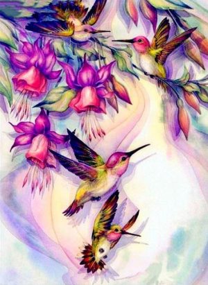 Hummingbirds And Flowers Paint By Numbers