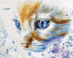 Blue Eyes Cat Paint By Numbers