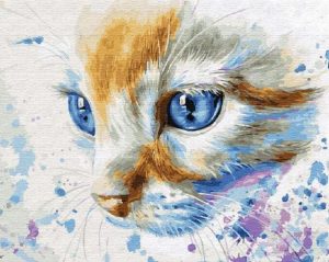 Blue Eyes Cat Paint By Numbers