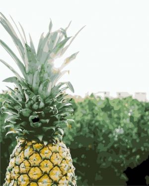 Pineapple Fruit Paint By Numbers