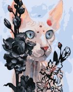 Sphynx Cat Paint By Numbers
