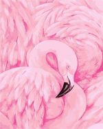 Pink Flamingo Paint By Numbers