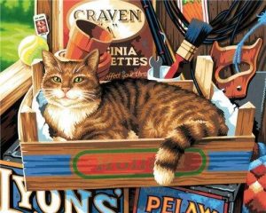 Cat Signs Animals Paint By Numbers