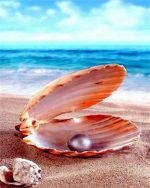 Great Scallop Pearl Paint By Numbers