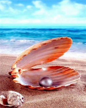 Great Scallop Pearl Paint By Numbers