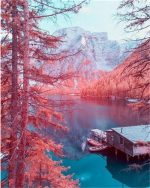 Winter on Lake Landscape Paint By Numbers