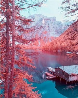 Winter on Lake Landscape Paint By Numbers