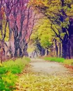 Forest Path Paint By Numbers