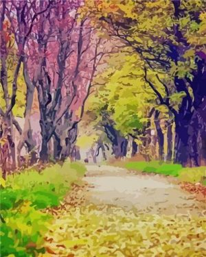 Forest Path Paint By Numbers