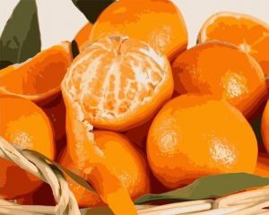 Mandarin Orange Paint By Numbers