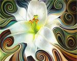 Abstract White Flower Paint By Numbers