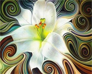Abstract White Flower Paint By Numbers