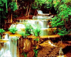 Rainforest Waterfall Paint By Numbers