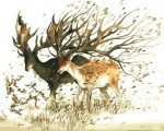 Magical Deer Couple Paint By Numbers