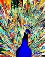 Colorful Peacock Feathers Paint By Numbers