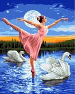 Swans And Ballerina Paint By Numbers