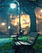 Night Park Bench Paint By Numbers