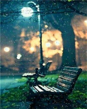 Night Park Bench Paint By Numbers