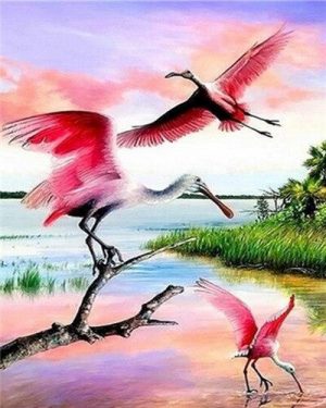 Spoonbill Birds Paint By Numbers