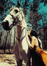 Horse With Woman Paint By Numbers