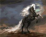 Horse With white Hair Paint By Numbers