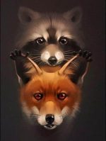 Raccoon And Fox Paint By Numbers