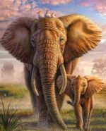 African Elephant And Calf Paint By Numbers