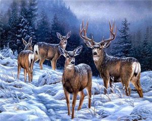 Alaska Deer Paint By Numbers