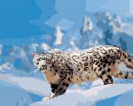 Snow Leopard Paint By Numbers