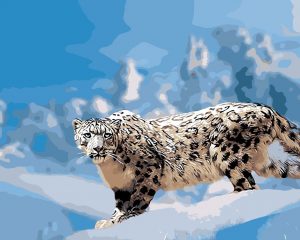 Snow Leopard Paint By Numbers