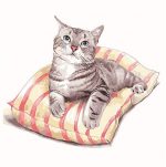 Cat On Pillow Paint By Numbers