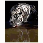 White Tiger Drinking Paint By Numbers