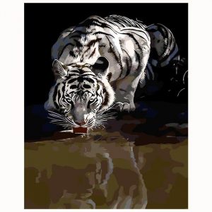 White Tiger Drinking Paint By Numbers