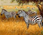 Zebra In Savanna Paint By Numbers