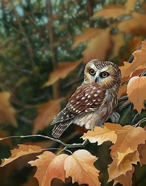 Owl On Leaves Paint By Numbers