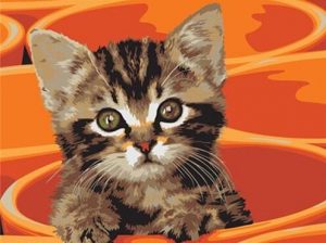 Cat In A Cup Paint By Numbers