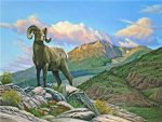 Bighorn Sheep Paint By Numbers
