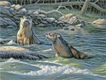 River Otters Paint By Numbers