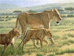 Lioness And Cubs Paint By Numbers