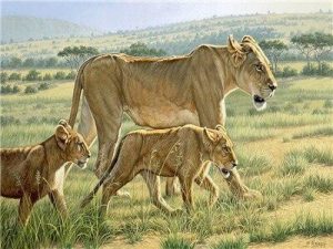 Lioness And Cubs Paint By Numbers