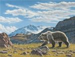 Mountain Bear Paint By Numbers