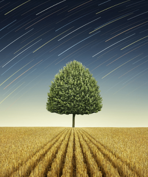 Apple Tree in Field Paint by Numbers