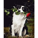 Dog And Rose Paint By Numbers