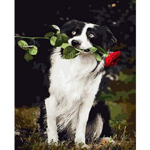 Dog And Rose Paint By Numbers