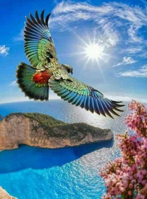 Flying Bird Paint By Numbers