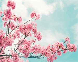 Blossom Branch Paint By Numbers
