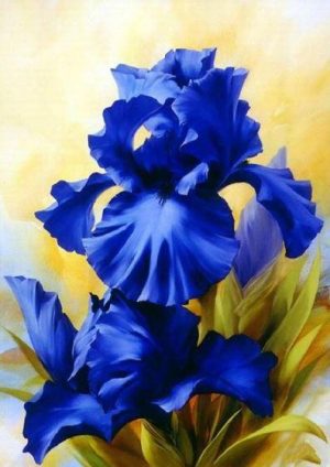 Blue Irises Paint By Numbers
