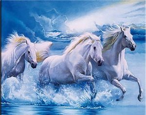 White Horses Paint By Numbers