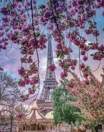 Eiffel Tower Cherry Blossom Paint By Numbers